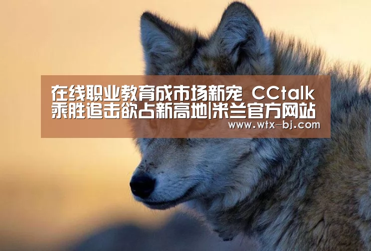 在线职业教育成市场新宠 CCtalk乘胜追击欲占新高地|米兰官方网站(图3) milan米兰