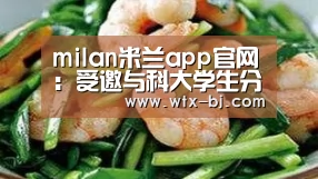milan米兰