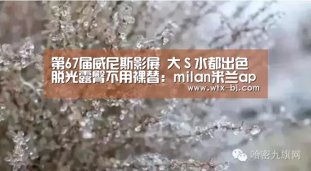 milan米兰app官网