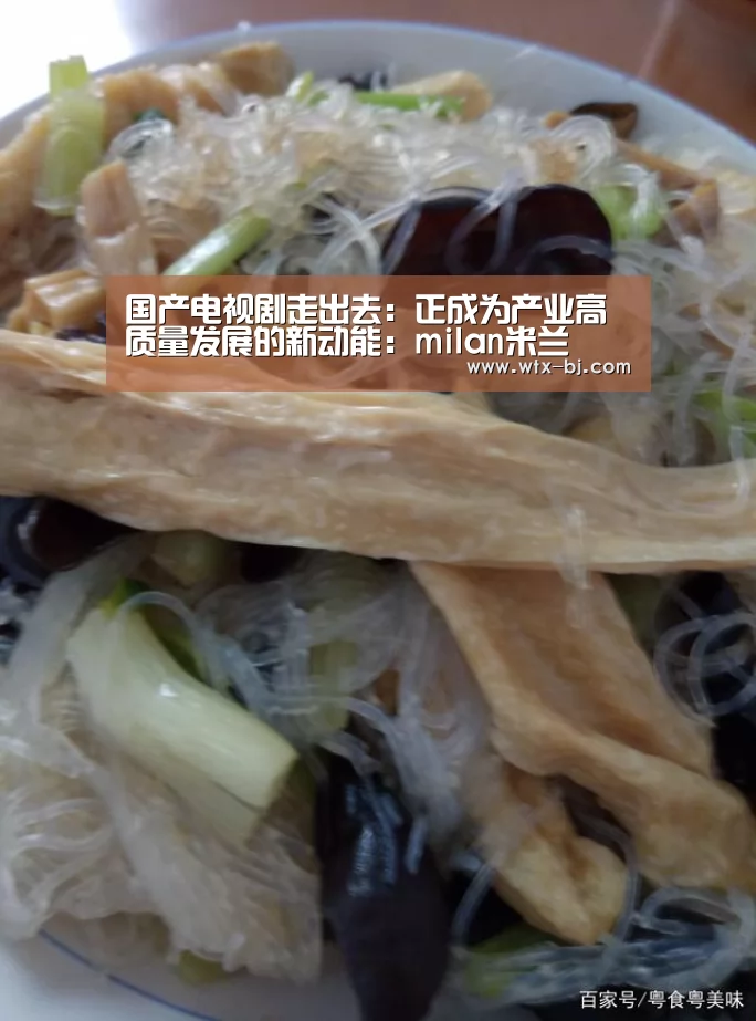 国产电视剧走出去:正成为产业高质量发展的新动能:milan米兰(图2) 米兰官方网站