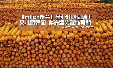 milan米兰app官网