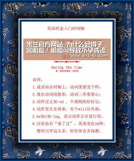 milan米兰app官网