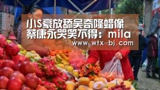 milan米兰