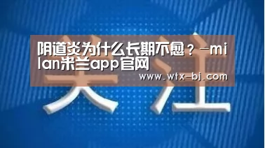 milan米兰